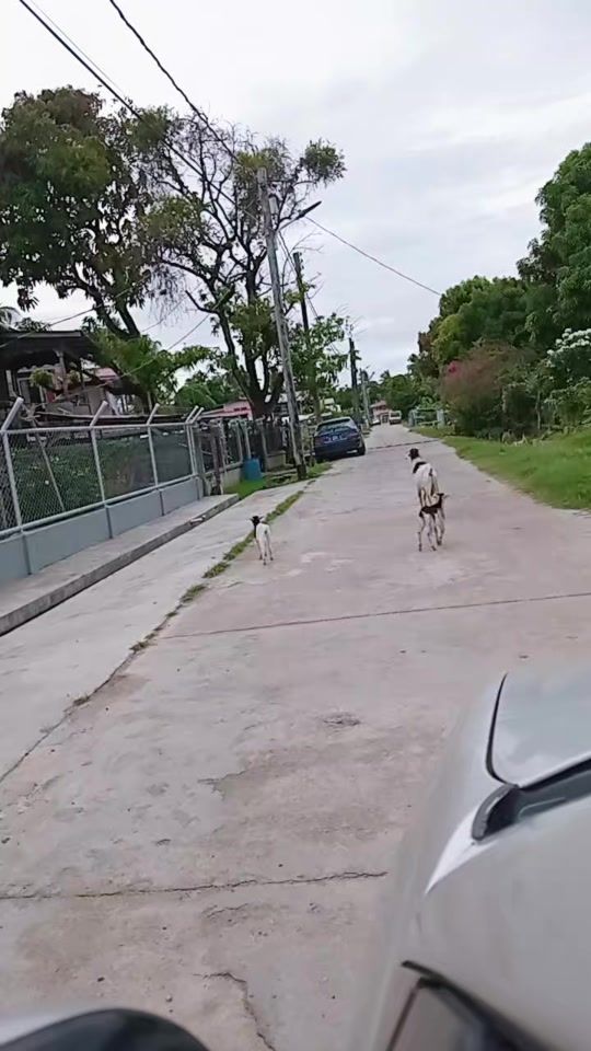 TikTok video thumbnail by ravina5079