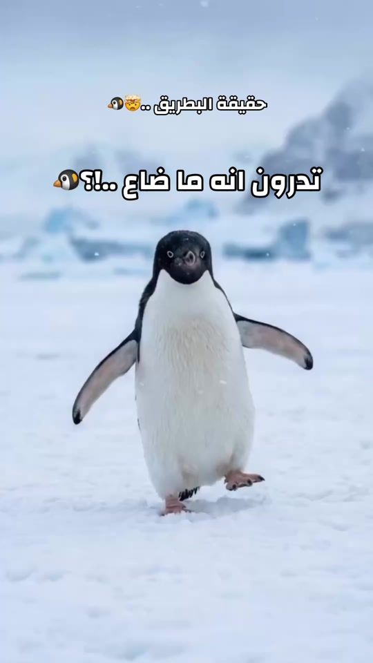 TikTok video thumbnail by g4.ksa1