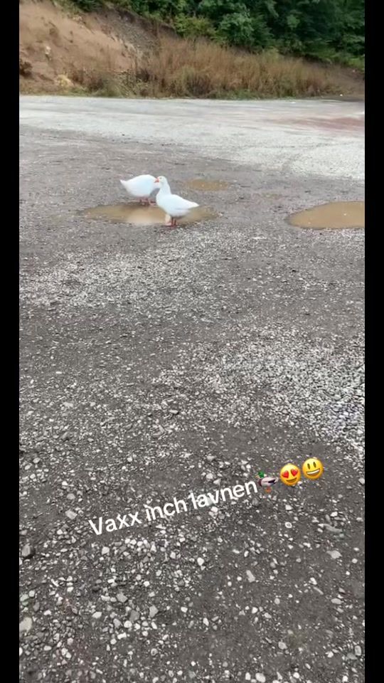 TikTok video thumbnail by c_g_.91
