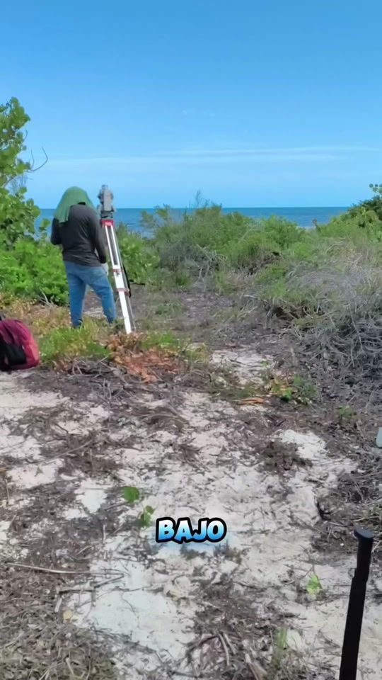 TikTok video thumbnail by filterprank
