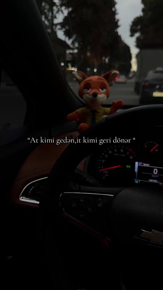 TikTok video thumbnail by flagunel