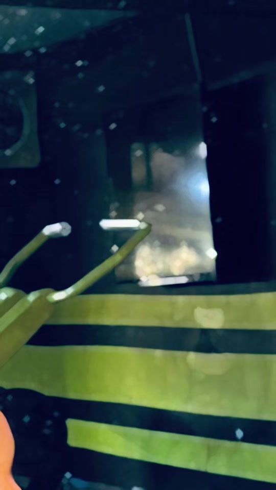 TikTok video thumbnail by urs_nader