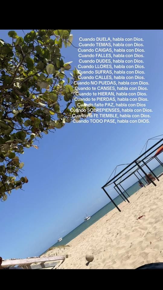TikTok video thumbnail by user97651013_