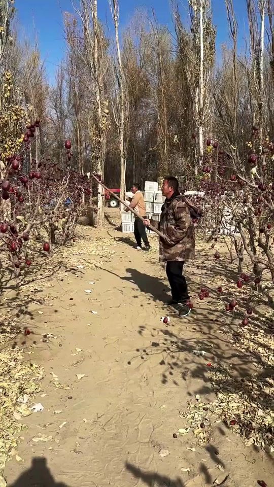 TikTok video thumbnail by dhdhdnps2gl