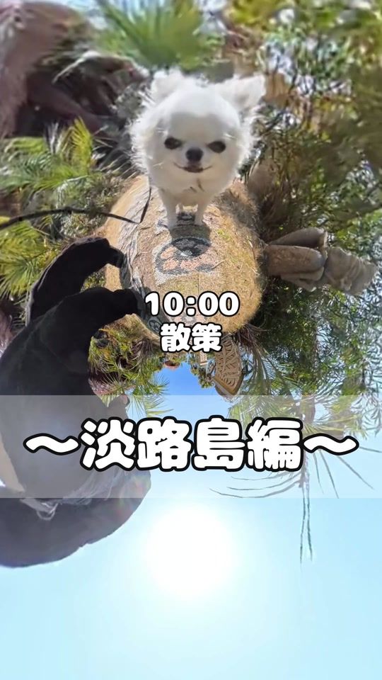 TikTok video thumbnail by umi_tabe