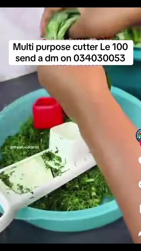 TikTok video thumbnail by dijadincollection6