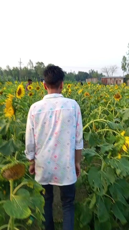 TikTok video thumbnail by faruk31102434
