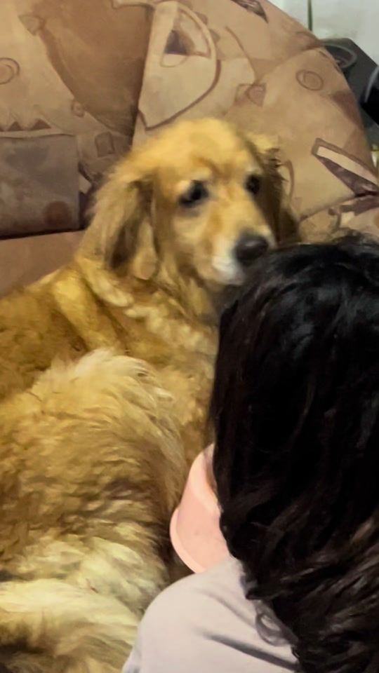 TikTok video thumbnail by shibikezi