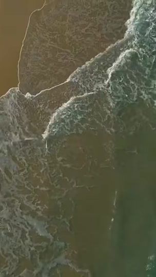 TikTok video thumbnail by milojko_institucija