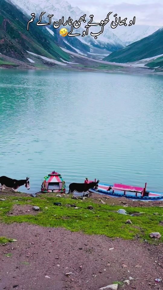 TikTok video thumbnail by vibes_of_mansehra