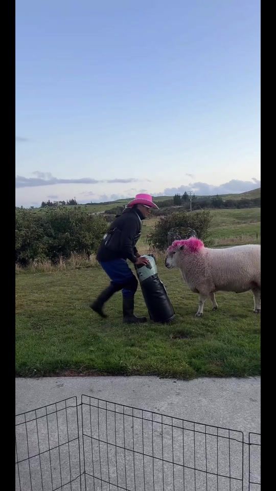 TikTok video thumbnail by mikaerabro