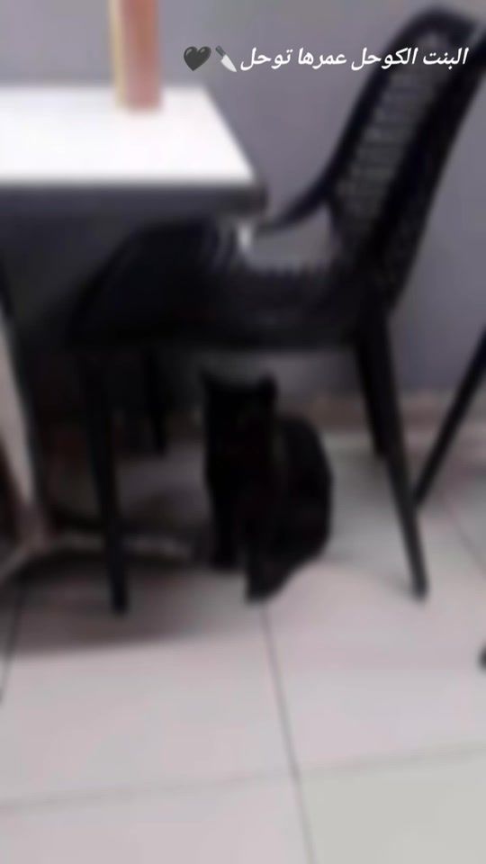 TikTok video thumbnail by radiabarbara0