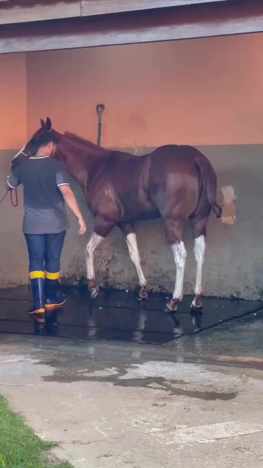 TikTok video thumbnail by willianfv1