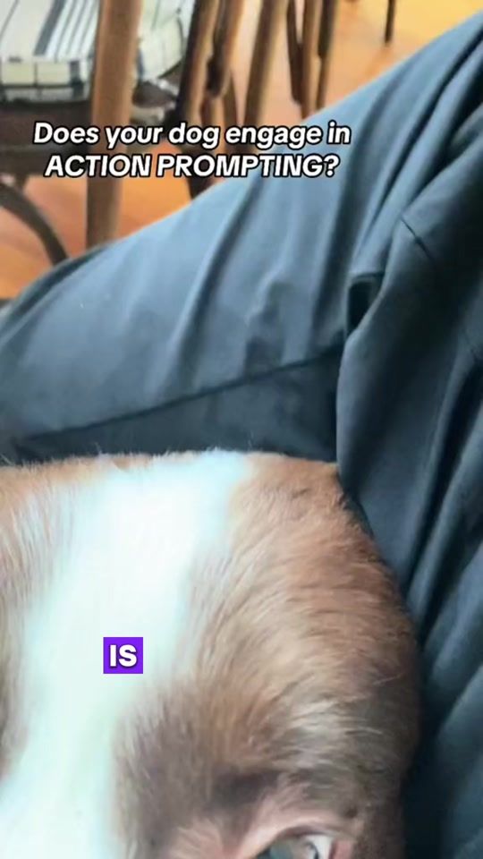 TikTok video thumbnail by drkatrinawarren