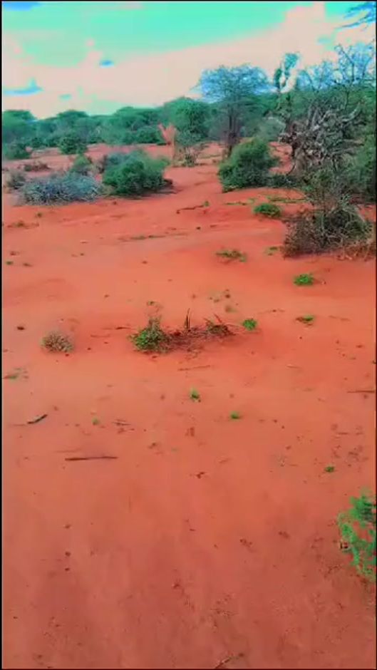 TikTok video thumbnail by muxsin72