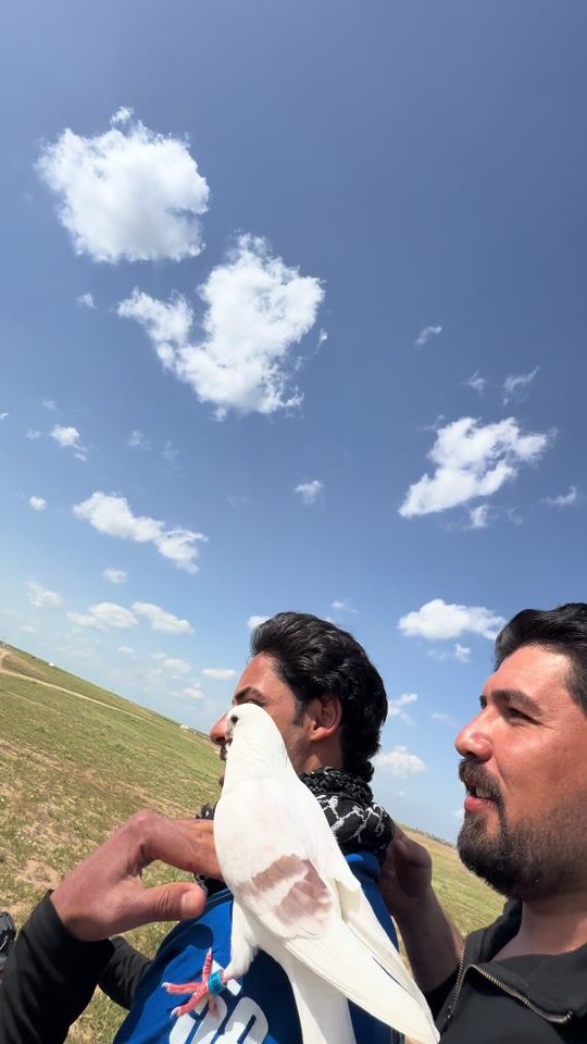TikTok video thumbnail by firas_hammadi