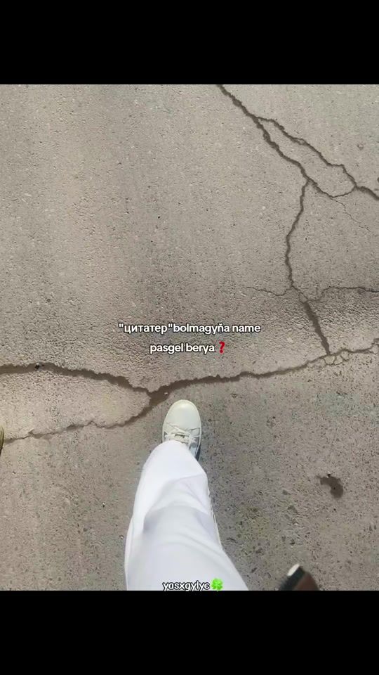 TikTok video thumbnail by zaybaley2