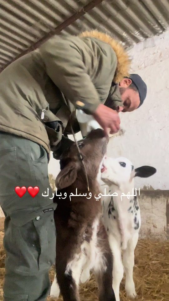 TikTok video thumbnail by khaledcherif1