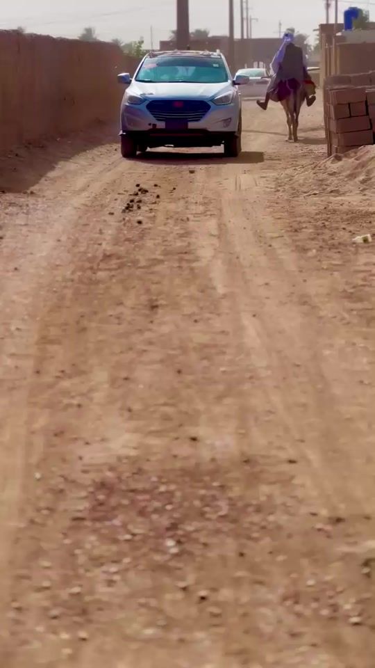 TikTok video thumbnail by ay5600ppp4