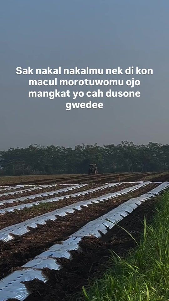 TikTok video thumbnail by harie_sinyo