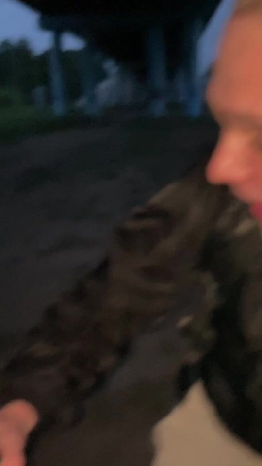 TikTok video thumbnail by hikitosssss0