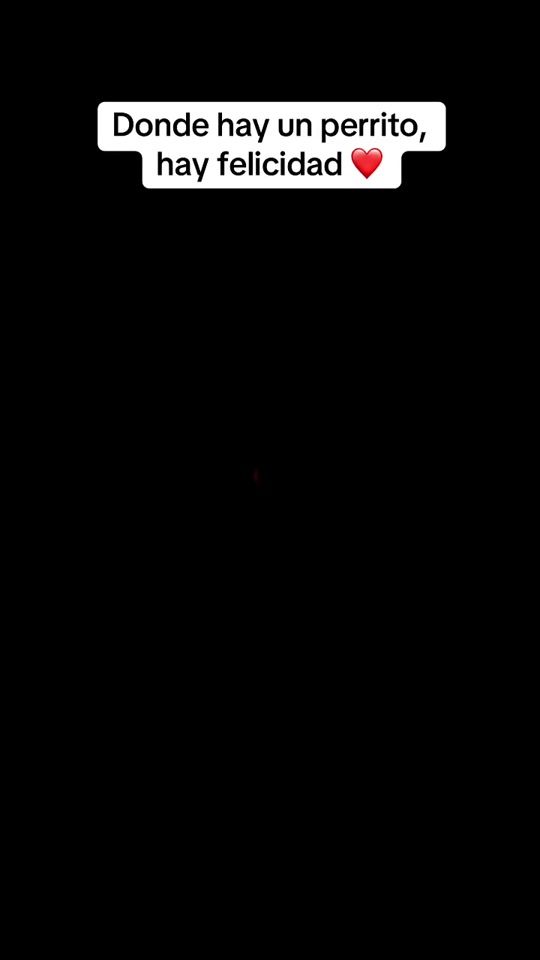 TikTok video thumbnail by clausilvap