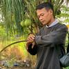 arizal2984