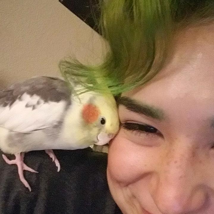 🦄 @grouch_thebird - MICHELLE - TikTok