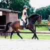 equestelli