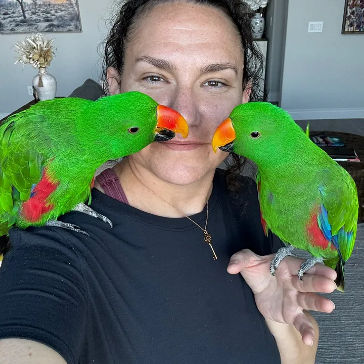 the_green_bird_brigade