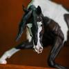 breyerluver764