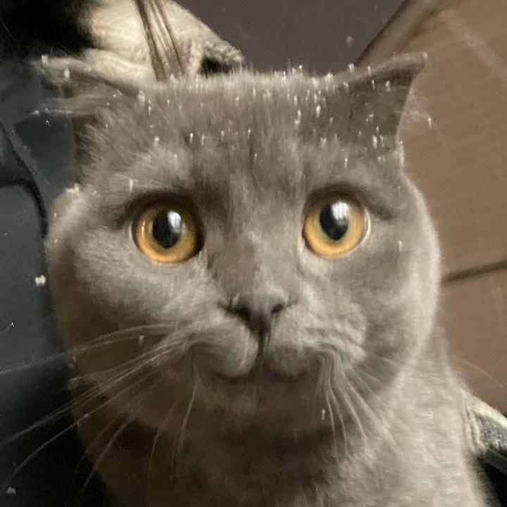 🦄 @bunniemmie - *෴* - TikTok