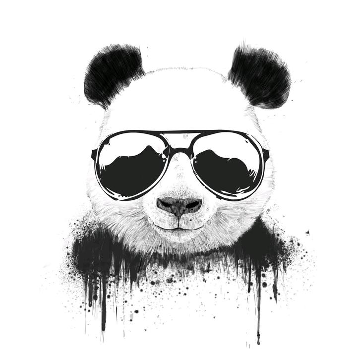 @panda.show1 - Panda.show