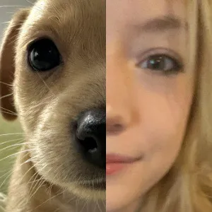 @bug.cel