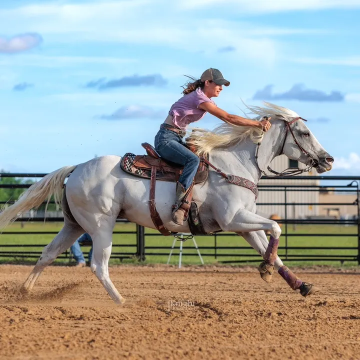 @rdranchhorses