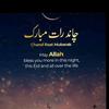 m.hasnain087