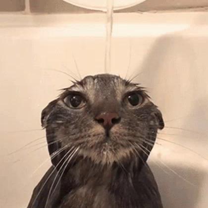 🦄 @sumire_live - sumire live - TikTok