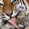 khrystyna_2310