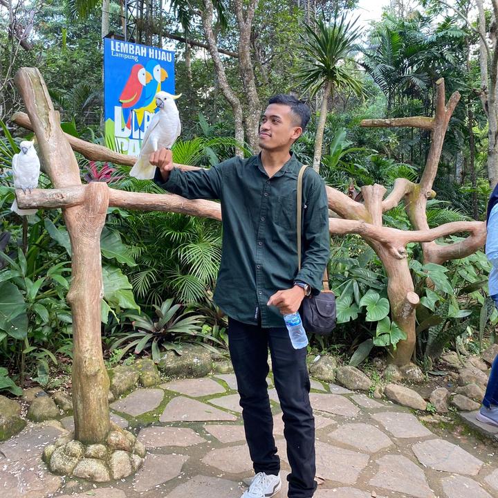 @melldyputraa