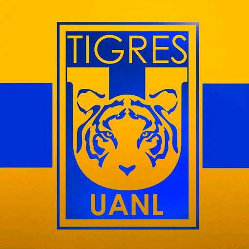 🦄 @tigres.uanl.mx - Tigres de corazón - TikTok