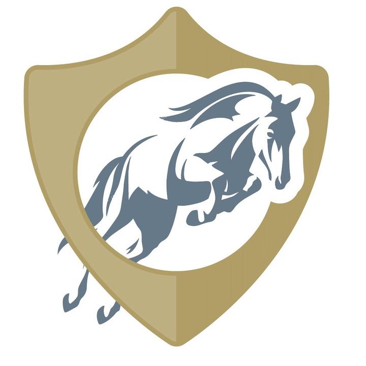 🦄 rideequisafe 🐴Ride EquiSafe🐎🦺 TikTok