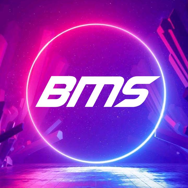 🦄 bms.2022 BMS TikTok
