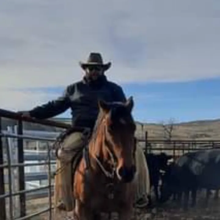 @larsonlivestock