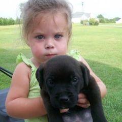 🦄 @official_honeybee - HONEY-BEE - TikTok