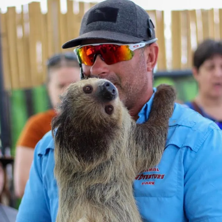 animaledventures