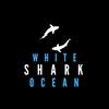 whitesharkocean