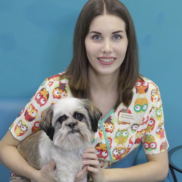 🦄 @vetbars - Vetbars - TikTok