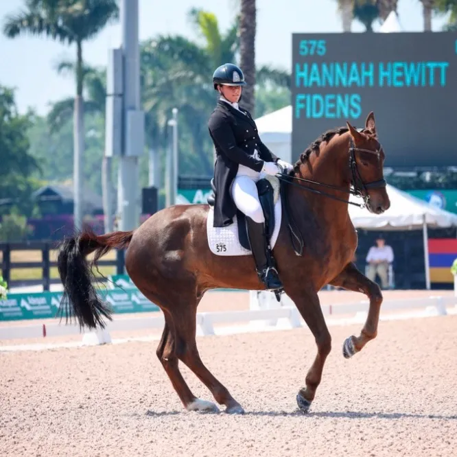@hannahdressage
