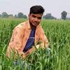 brajgujrati799