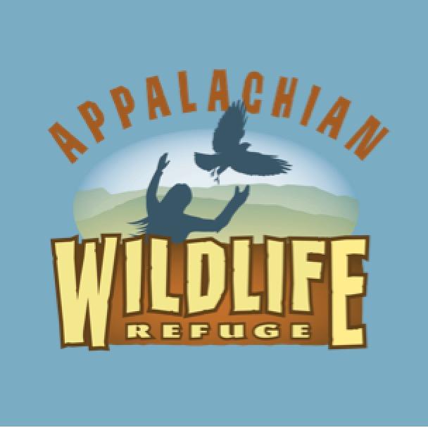 @appalachianwild - Appalachian Wild